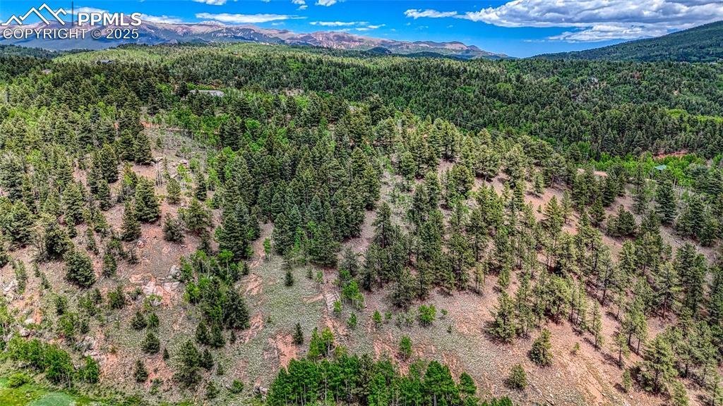 Image 10 of 29: Aerial View