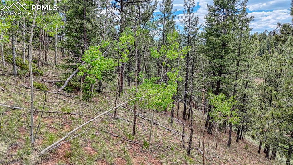 Image 8 of 29: Other
