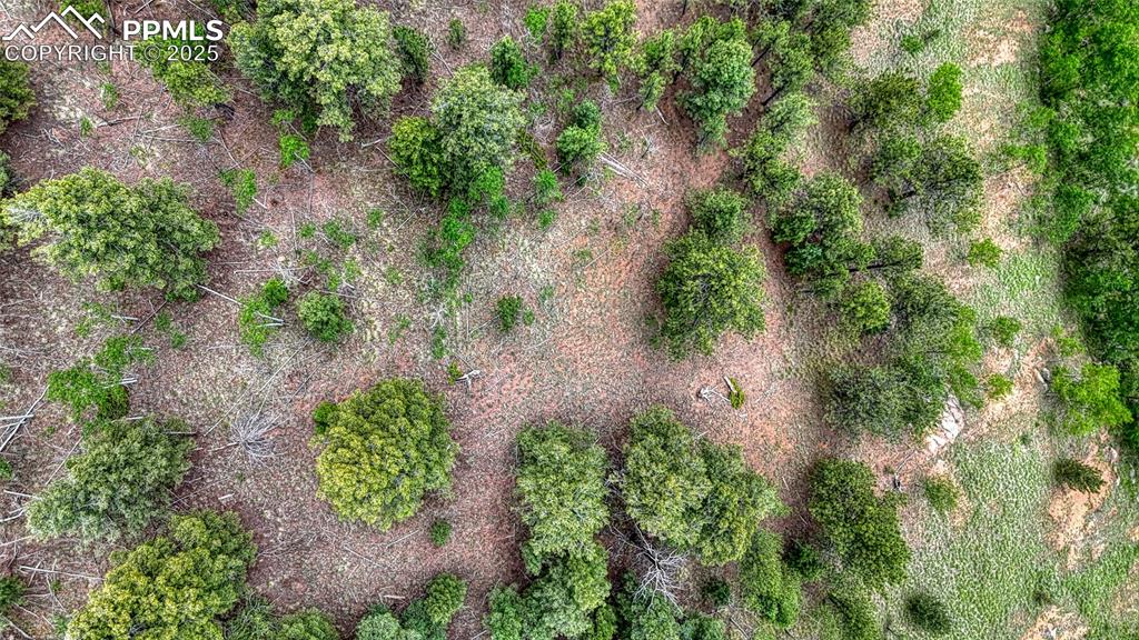 Image 9 of 29: Aerial View