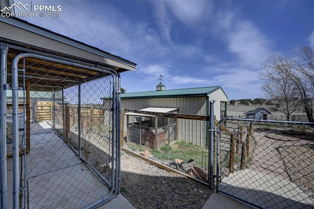 Image 31 of 50: Kennels