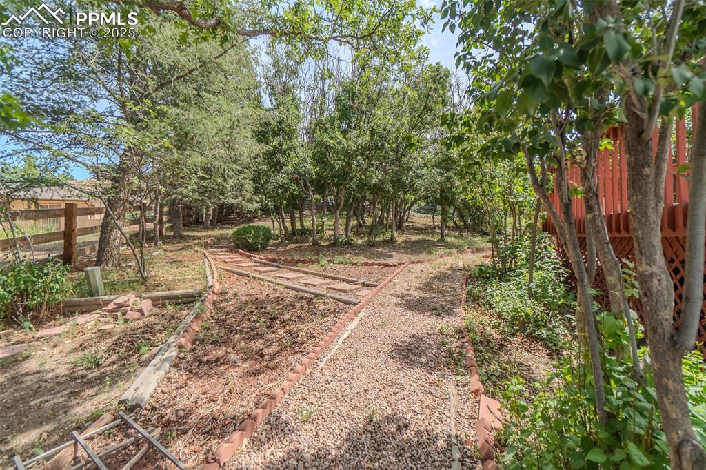 Image 43 of 48: Yard