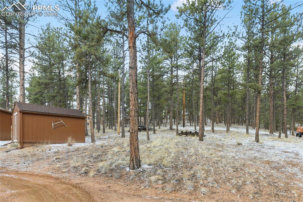 Image 30 of 42: The surrounding back yard and the tall pine trees on it!
