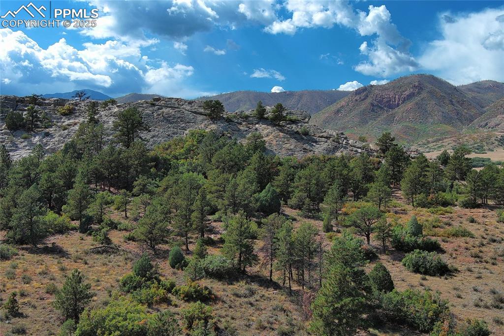 Image 2 of 33: Neighborhood backs up to Ute Valley Park and Pinon Valley Park!