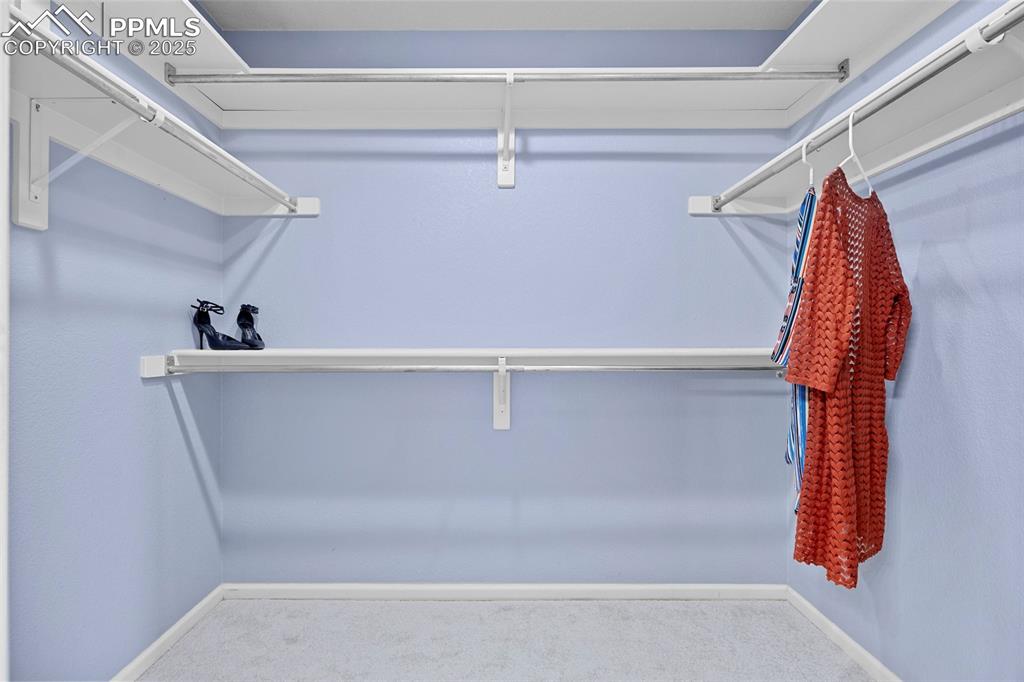 Image 31 of 50: Spacious closet featuring carpet floors