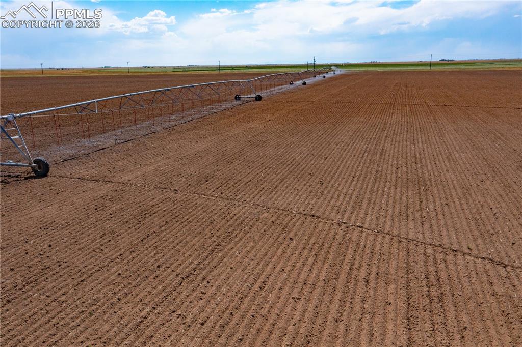 Image 3 of 17: Other