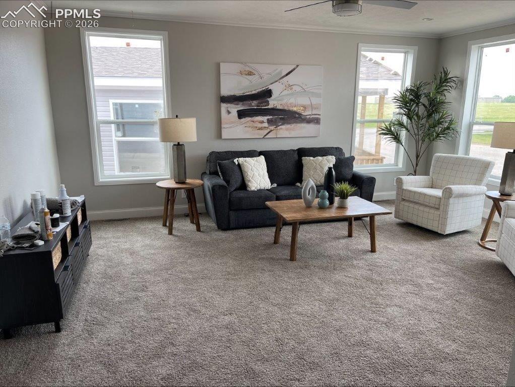 Image 2 of 41: Living Room
