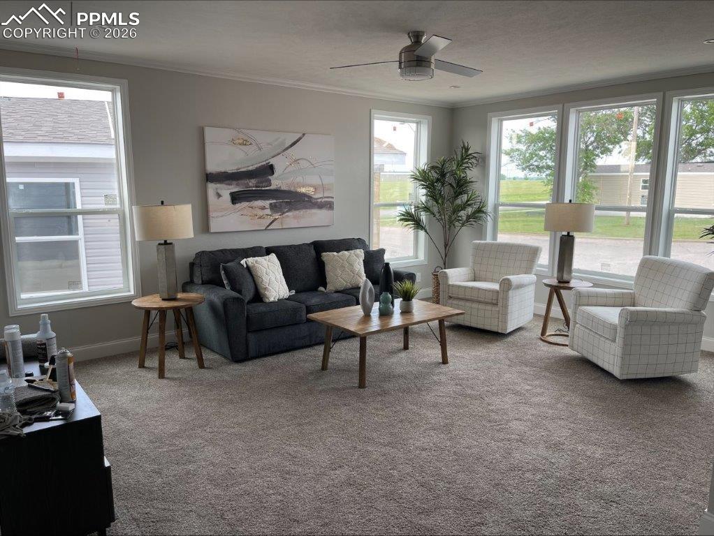 Image 25 of 25: Living Room