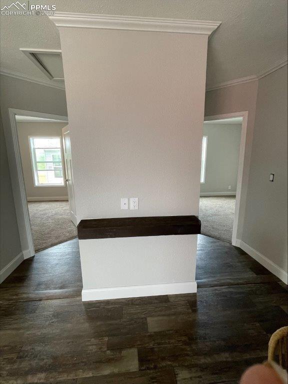 Image 7 of 25: Other