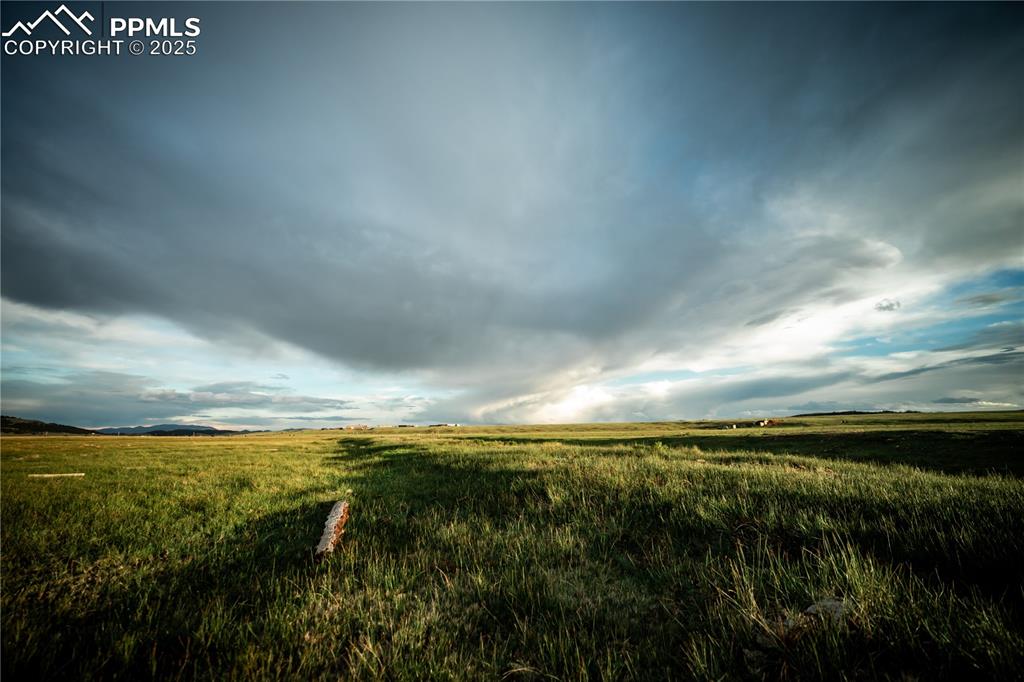 Image 6 of 10: Other