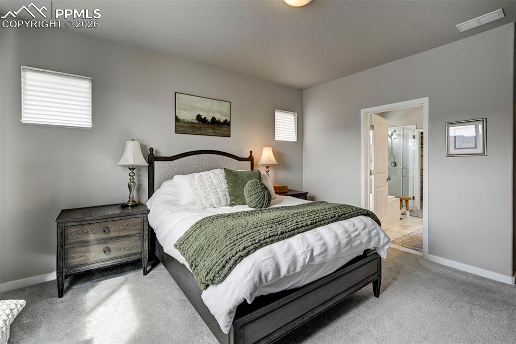 Image 21 of 41: Bedroom featuring carpet, multiple windows, and ensuite bathroom