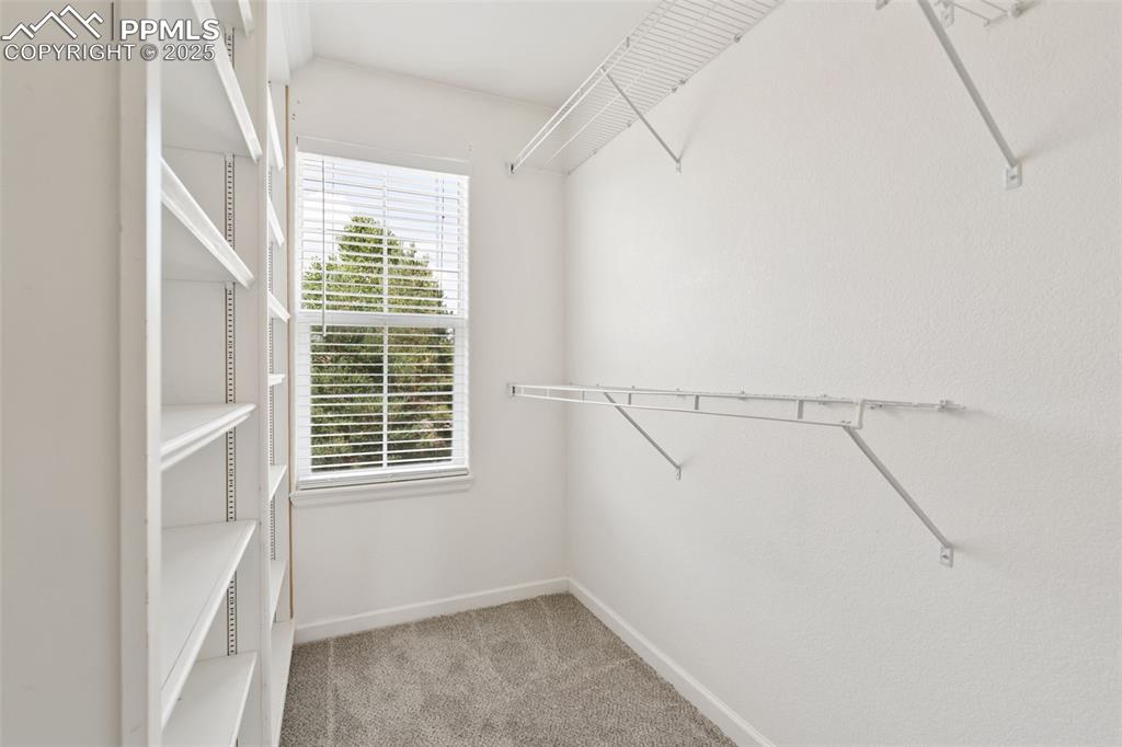 Image 22 of 35: Walk in closet with carpet flooring