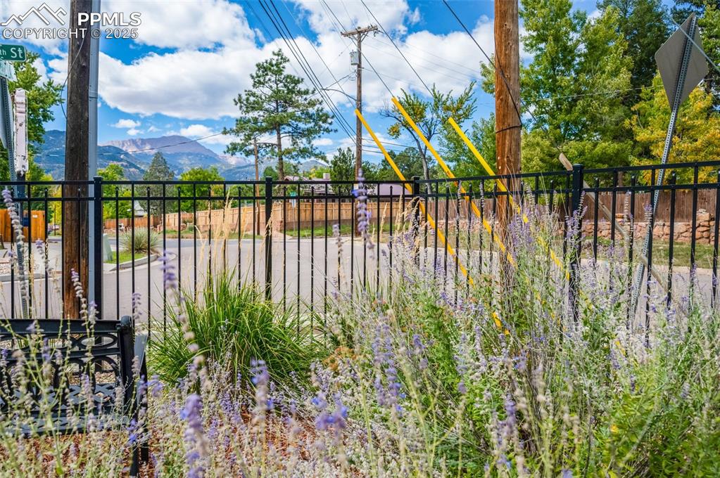 Image 24 of 42: Garden area/ corner lot with Pikes Peak views