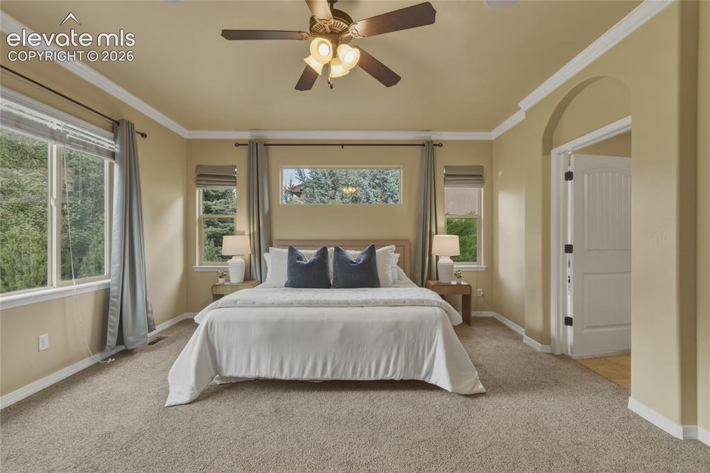Image 17 of 49: Carpeted room featuring multiple windows, crown molding, a ceiling fan, and