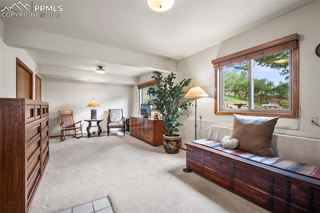 Image 5 of 22: Downstairs entry into living area featuring light carpet and plenty of natu