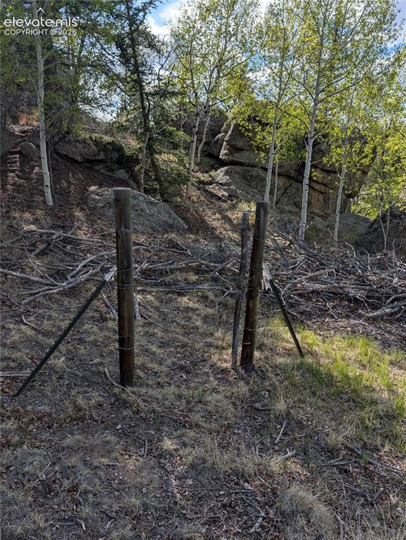Image 26 of 42: Sloped terrain featuring natural rock formations and a variety of mature tr