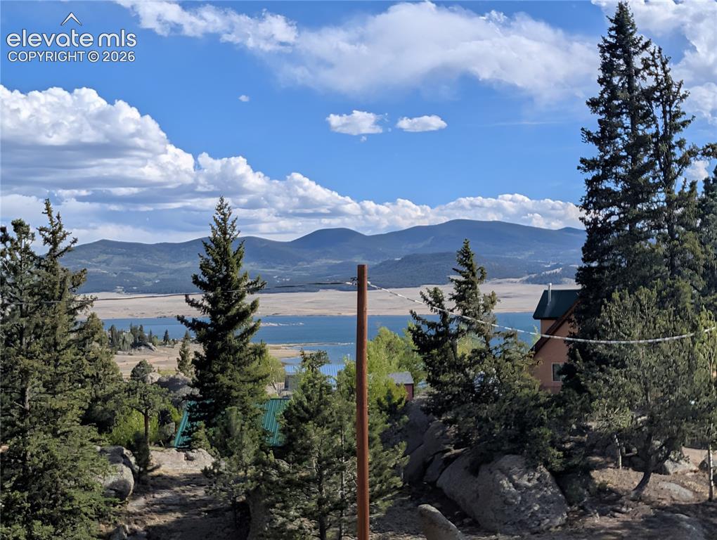 Image 3 of 42: Expansive natural landscape featuring mature evergreen trees and large rock