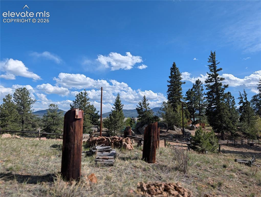Image 42 of 42: Other