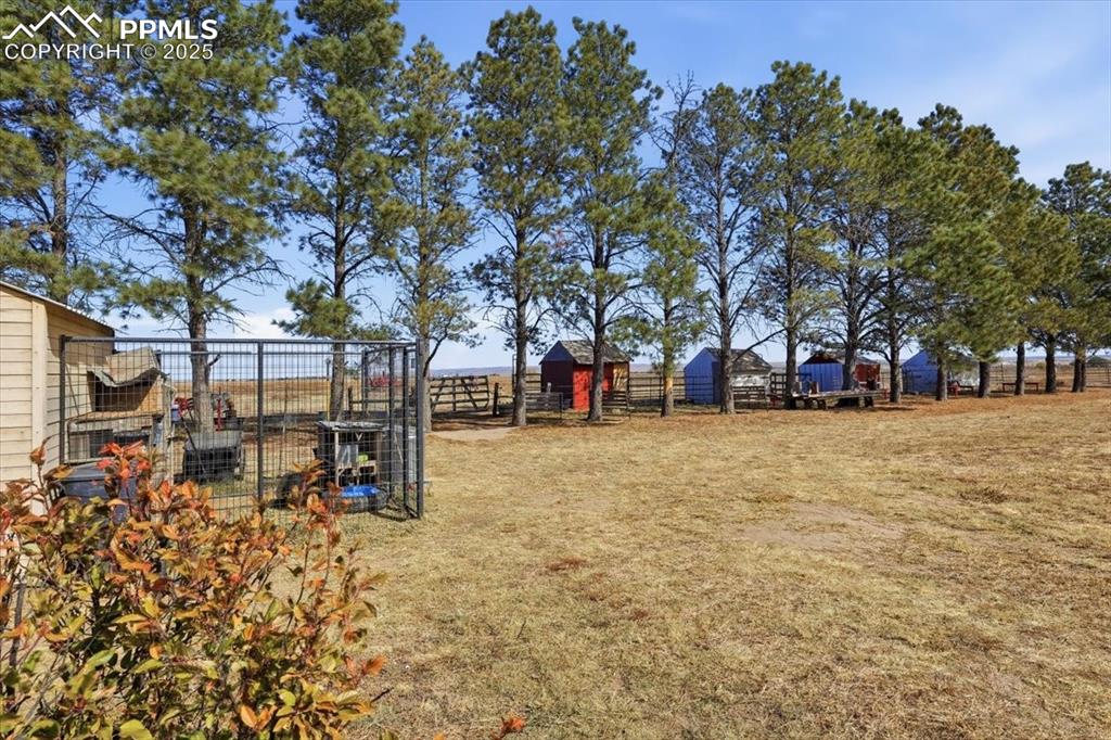 Image 30 of 49: The yard before the mini shelters is tree lined with mature trees