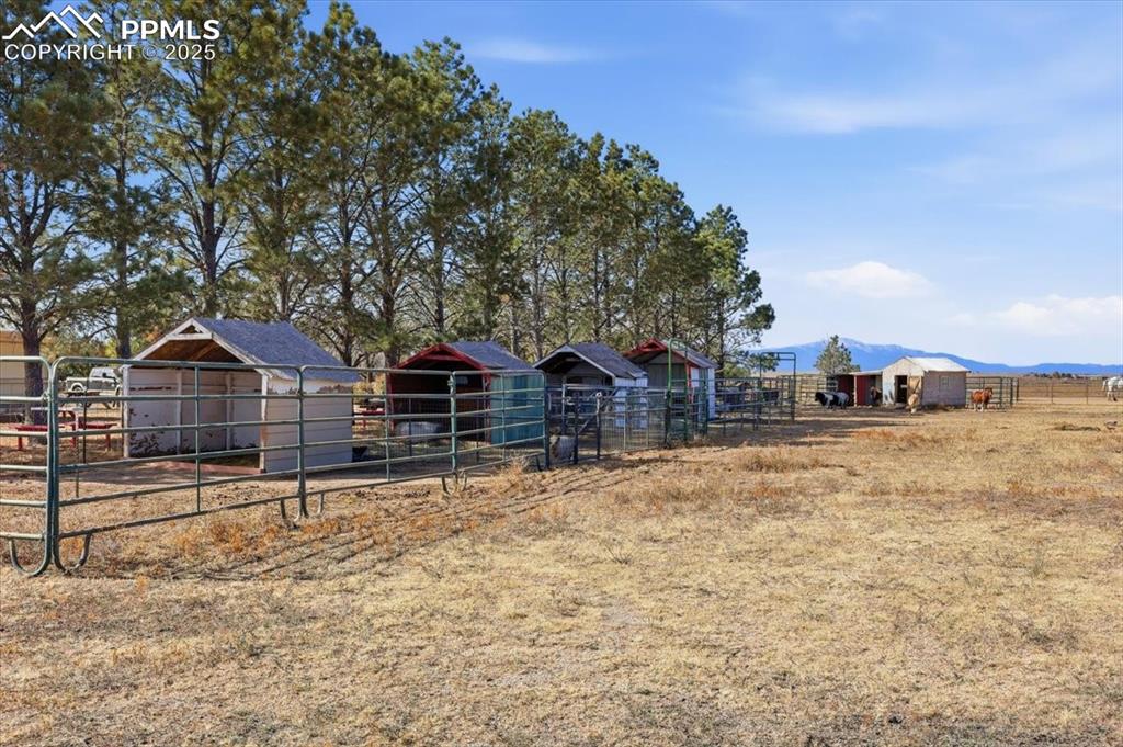 Image 31 of 49: There are 4 mini shelters for mini horses or farm animals and a shed with a