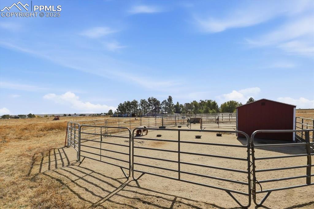 Image 32 of 49: Another shelter for additional animals in the pasture