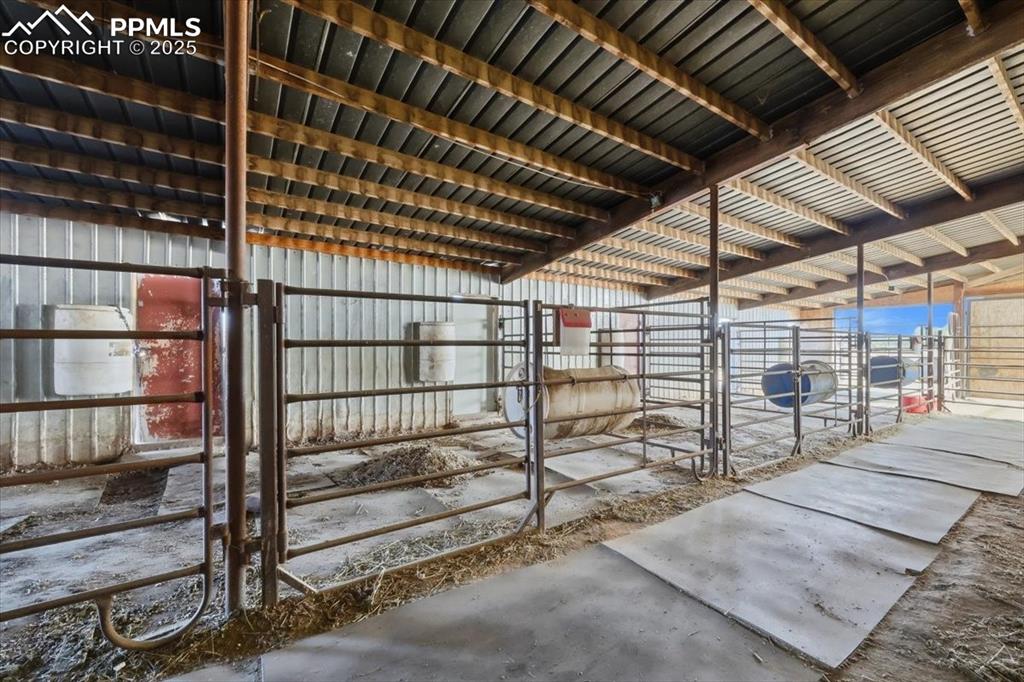 Image 34 of 49: Boarding stalls with outside runs