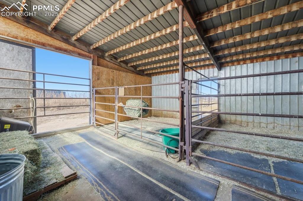 Image 35 of 49: Back exit from boarding stalls