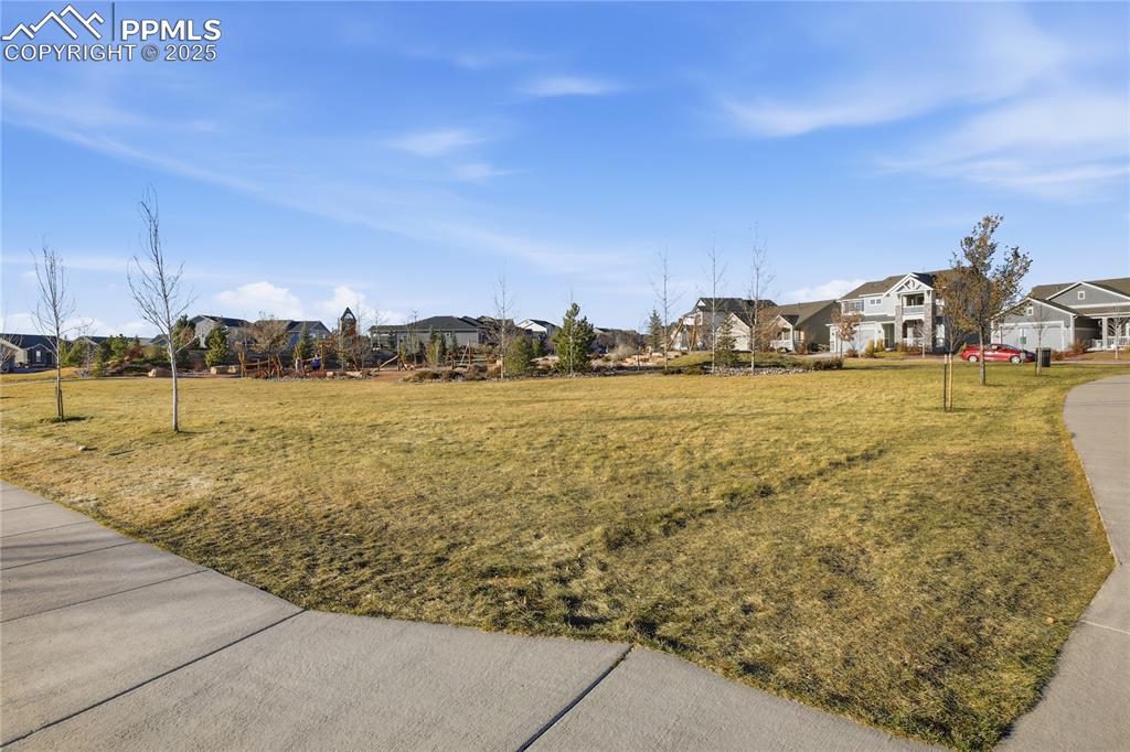 Image 42 of 42: Community