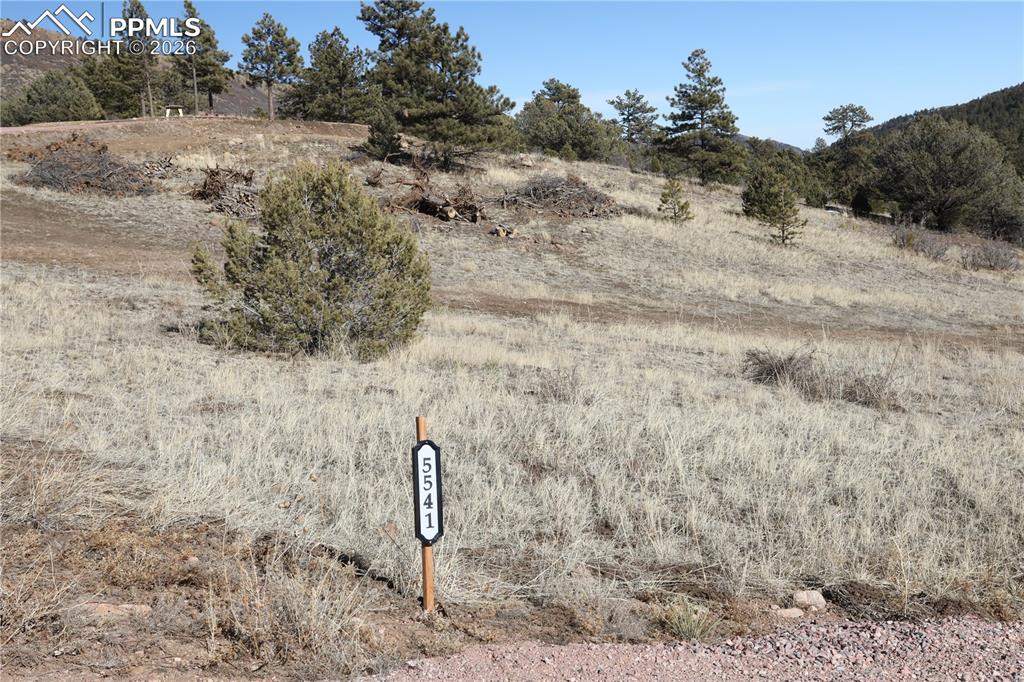 Image 12 of 32: Other