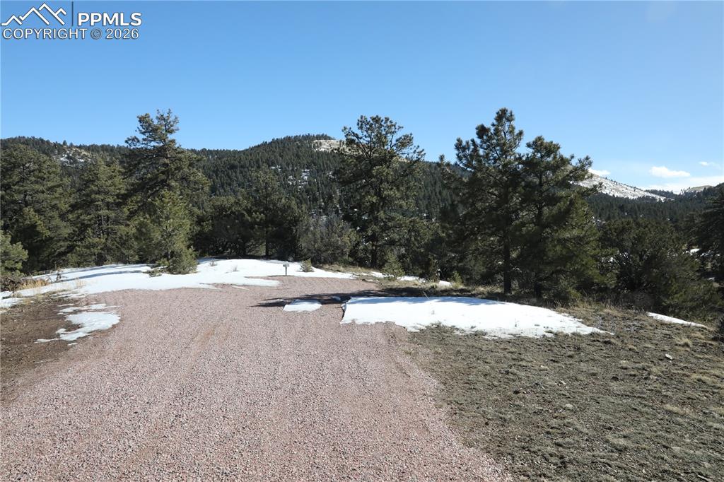 Image 15 of 32: Yard