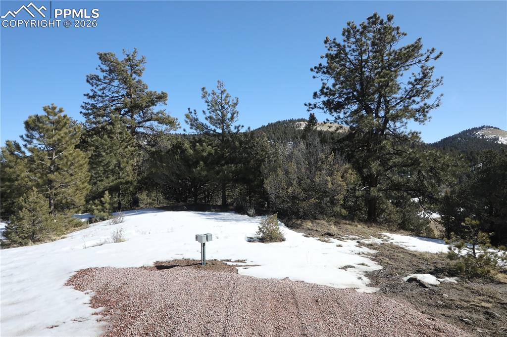 Image 16 of 32: Yard