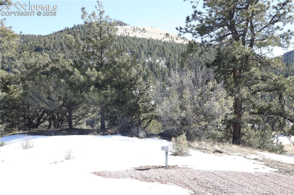 Image 18 of 32: Other