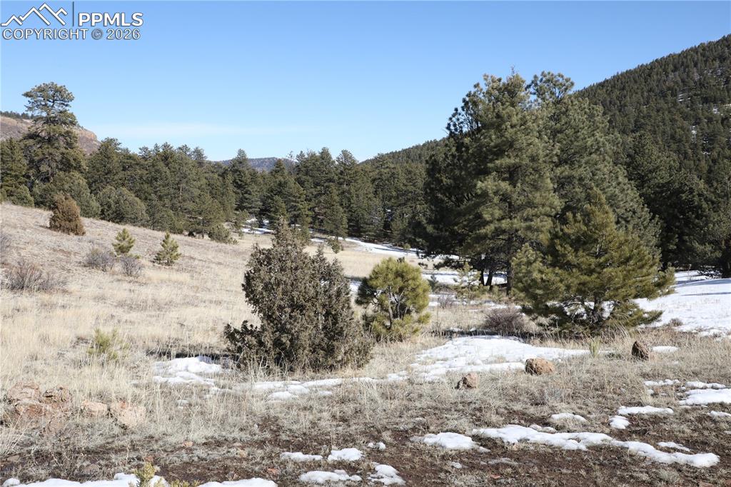 Image 20 of 32: Other