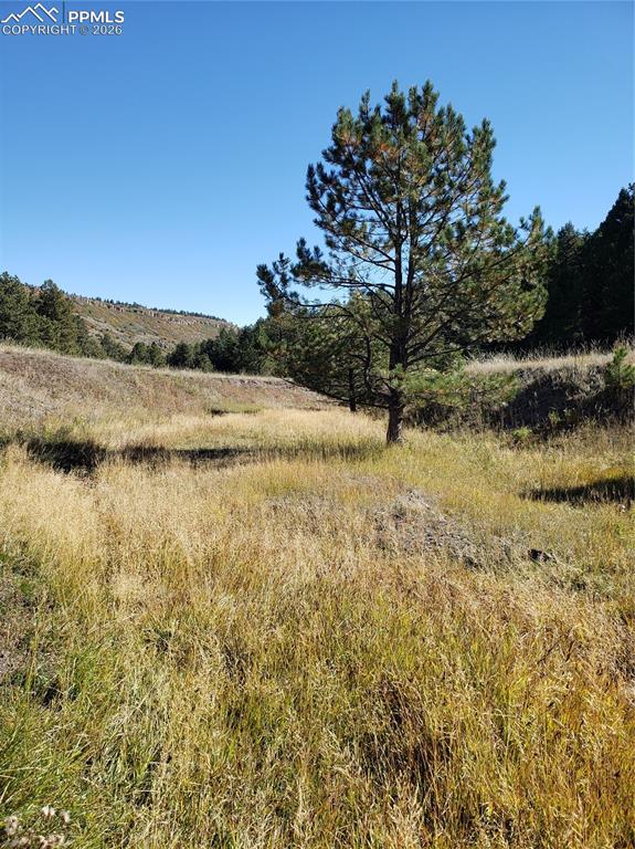 Image 23 of 32: Other