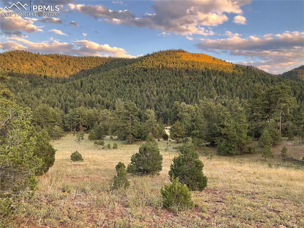 Image 24 of 32: View