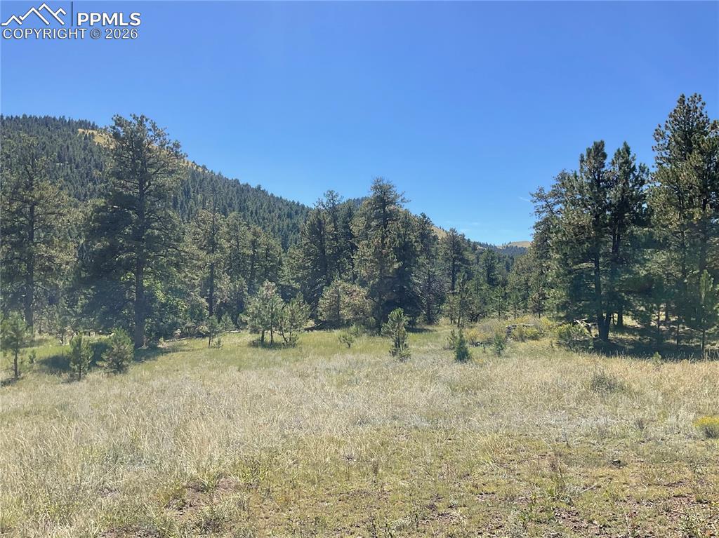 Image 26 of 32: View