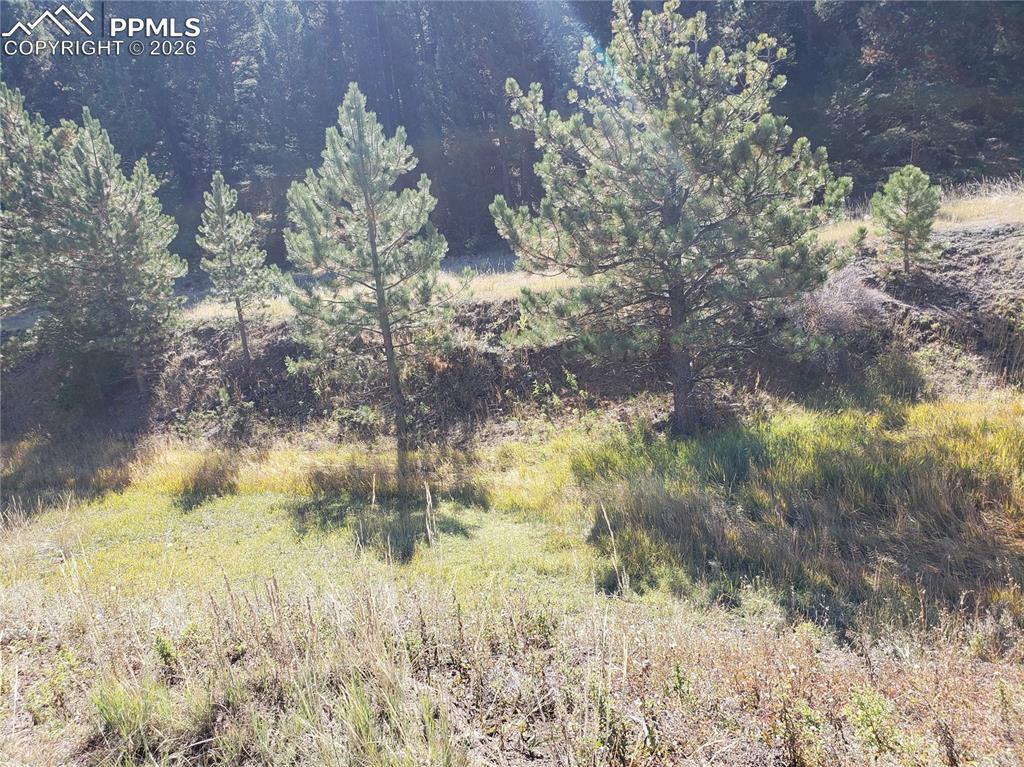 Image 29 of 32: Other