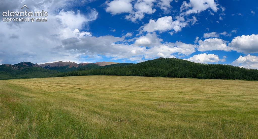 Image 50 of 50: Front Meadow