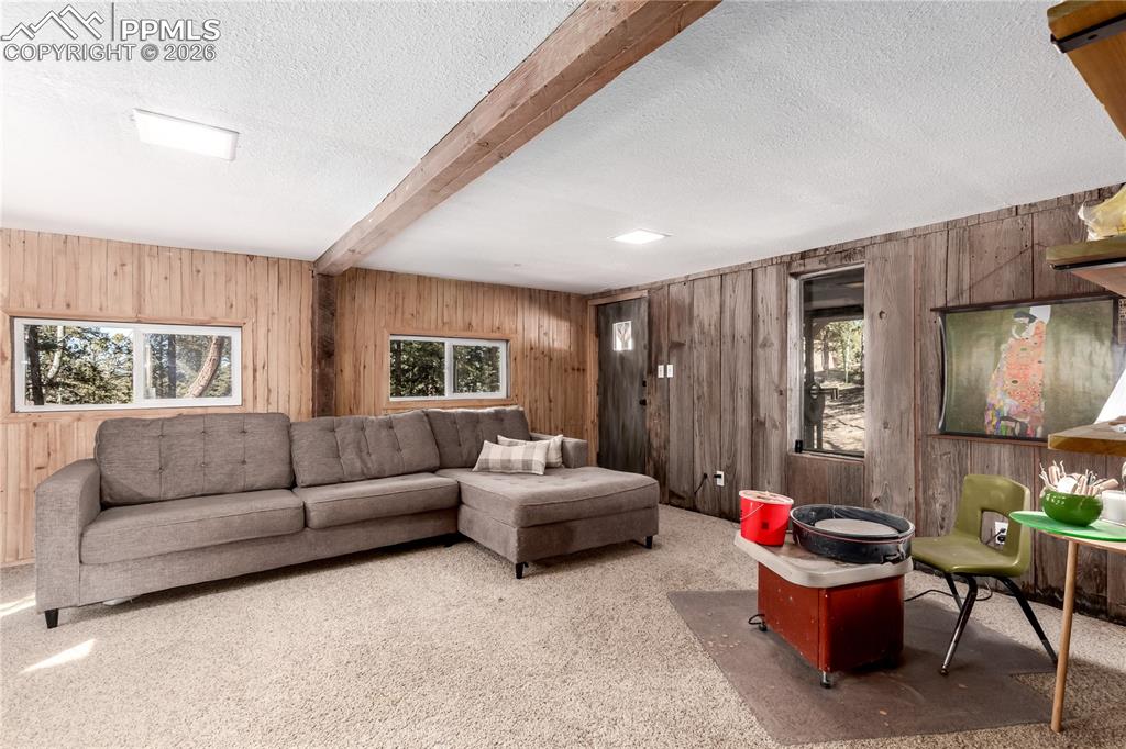 Image 21 of 31: Basement