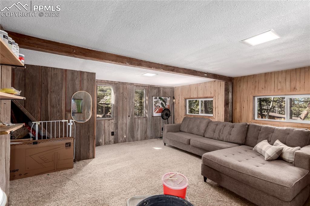 Image 24 of 31: Basement