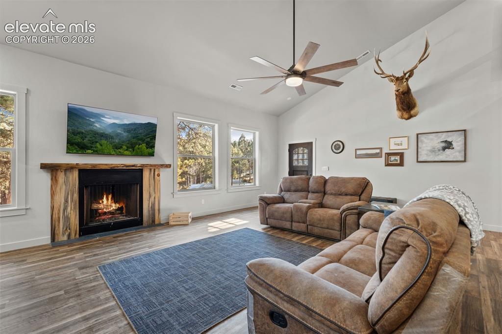 Image 9 of 42: Vaulted ceiling living space with a wood-finish flooring, a built-in wood-s