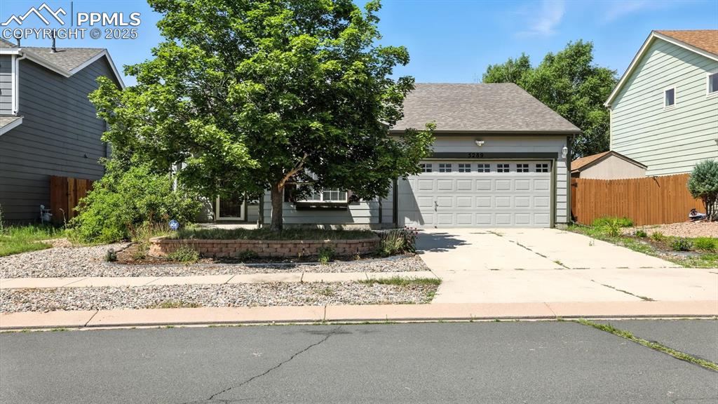 Image 26 of 26: Front view of home and yard.