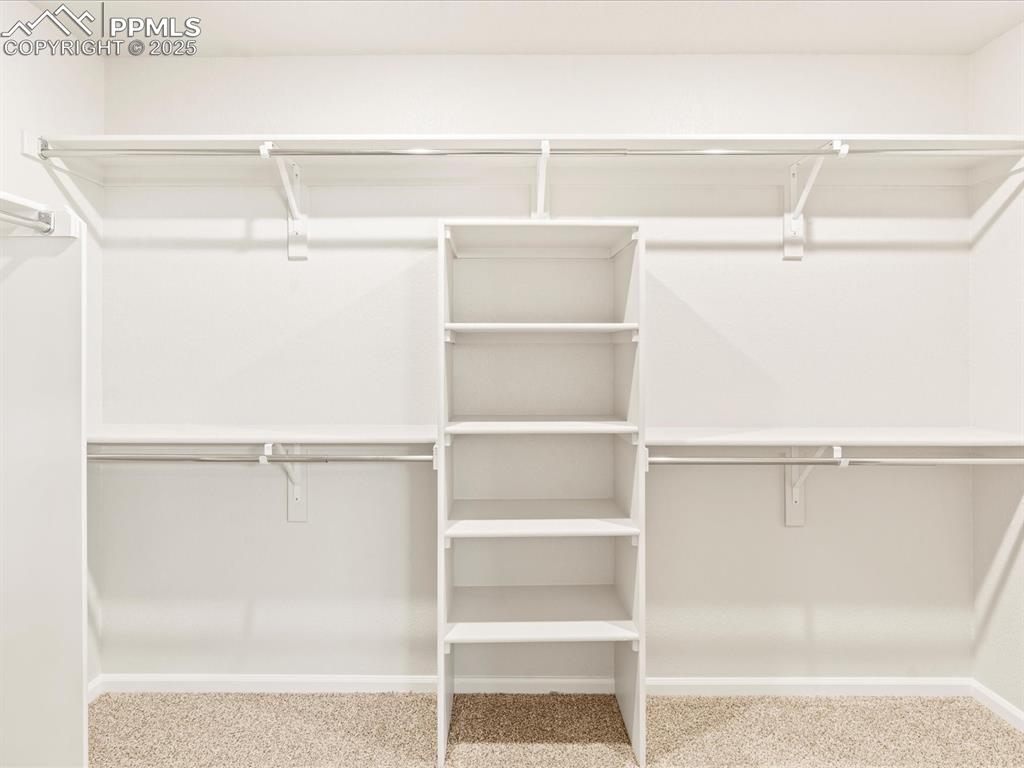 Image 19 of 32: Walk in closet with light carpet