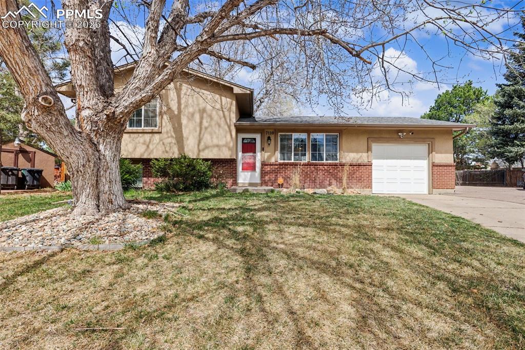 Image 4 of 35: Front of Structure