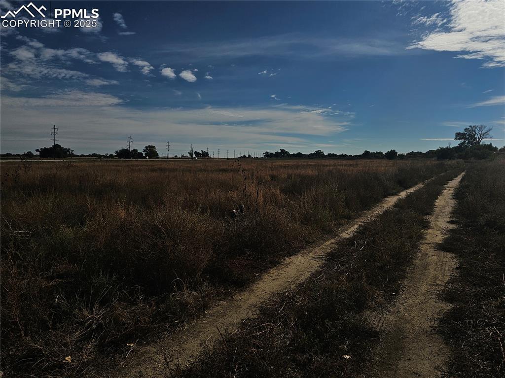 Image 23 of 25: Other