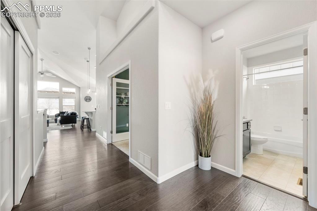 Image 10 of 49: Hallway with dark wood-style floors and healthy amount of natural light