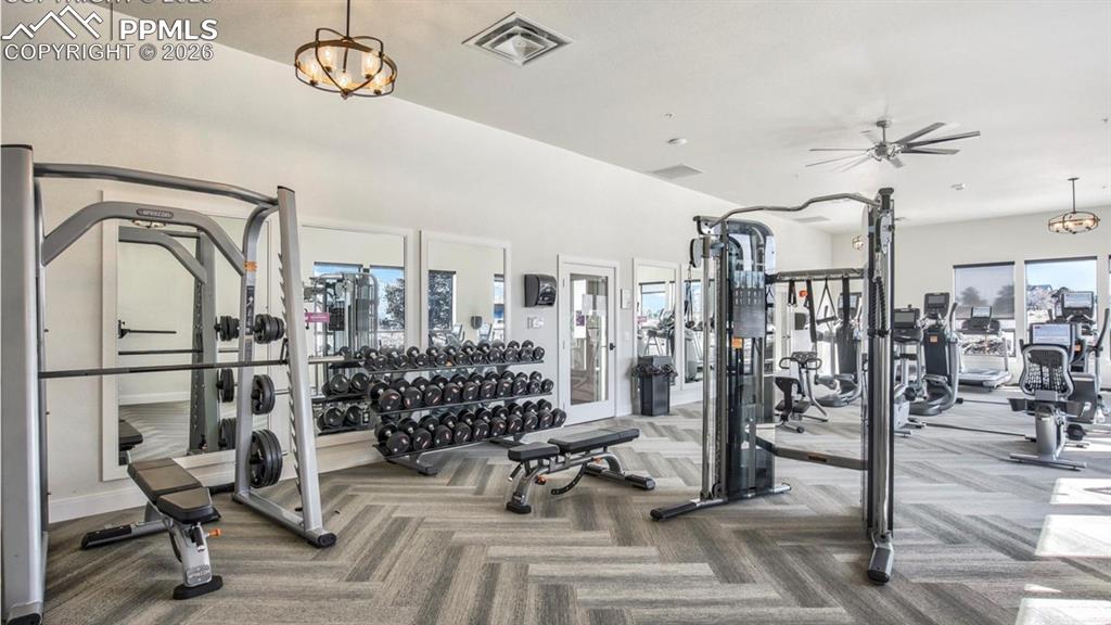 Image 45 of 49: View of workout area