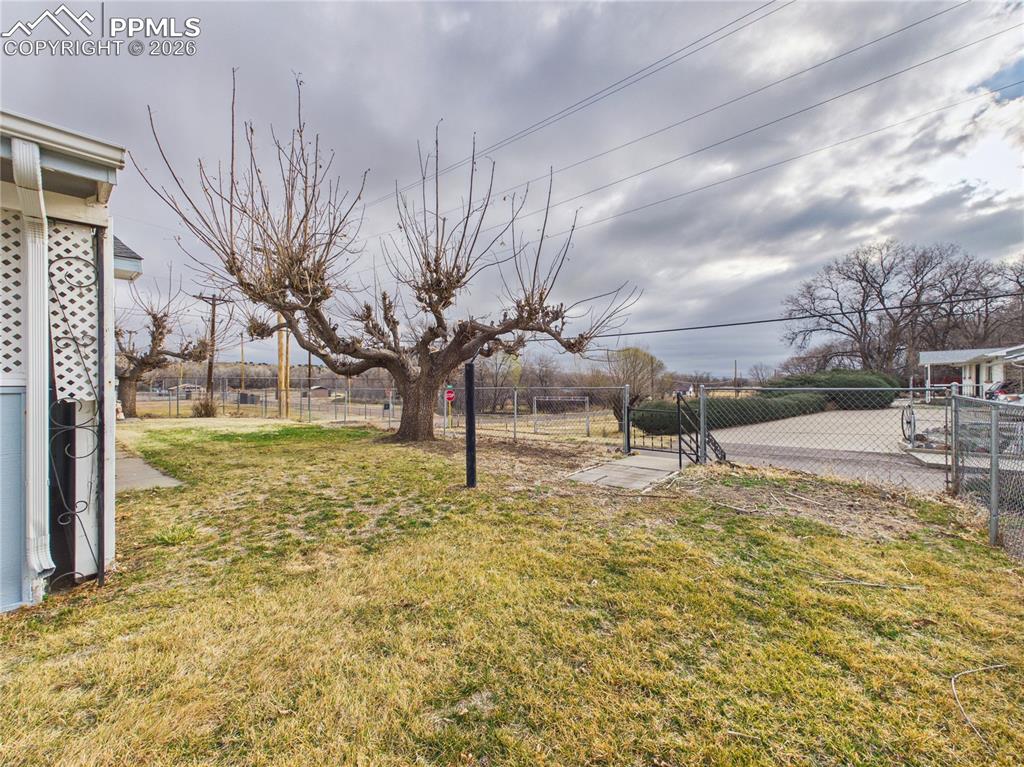 Image 30 of 37: Yard