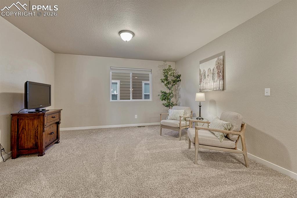 Image 21 of 50: Upper Level Loft with neutral carpet.