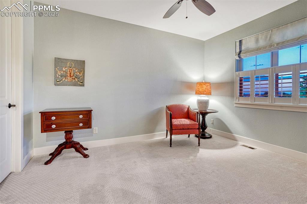Image 27 of 45: A second bedroom with plush carpet and wood shades as well as a walk-in clo
