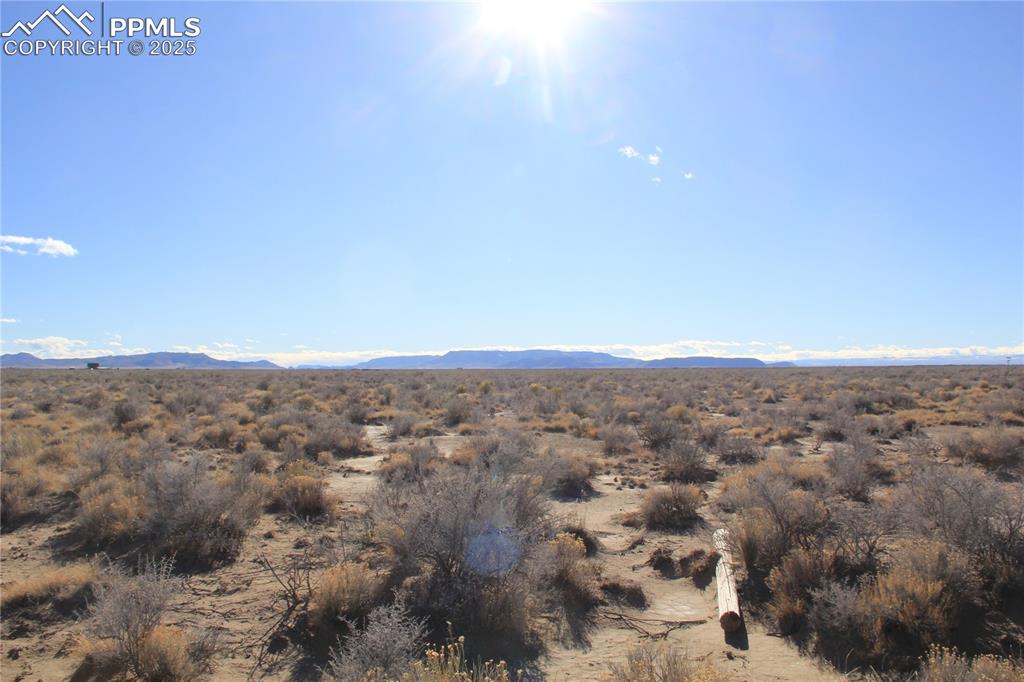 Image 10 of 23: View